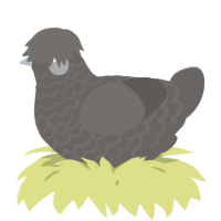 A grey chicken with a lace pattern