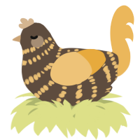 A bark and honey chicken with a bar pattern