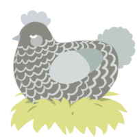 A ash and silver chicken with a lace pattern