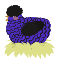A indigo and sable chicken with a lace pattern