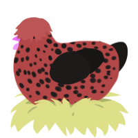 A red and sable chicken with a speckle pattern
