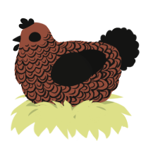 A russet and black chicken with a double-lace pattern