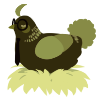 A olive and apple chicken with a neck-band pattern