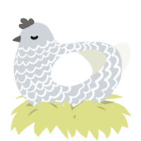 A mist and white chicken with a lace pattern