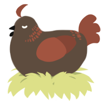 A bark and russet chicken with a neck-band pattern
