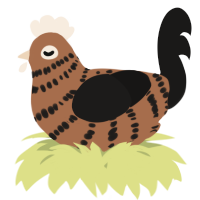 A brown and sable chicken with a bar pattern