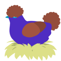 A indigo and russet chicken