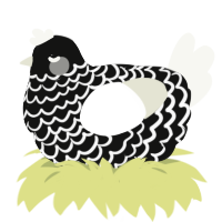 Gehenna, a black and white chicken with a lace pattern