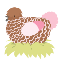 A brown and rose chicken with a lace pattern
