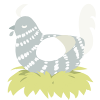 A silver and white chicken with a bar pattern