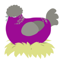 A plum and ash chicken with a neck-band pattern