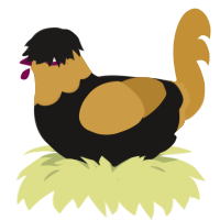 A sable and gold chicken with a head pattern