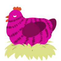 A fuchsia and wine chicken with a bar pattern