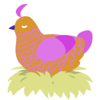 A orange and orchid chicken with a lace pattern