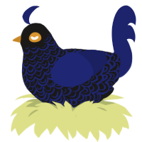 anglerfish, a sable and navy chicken with a double-lace pattern