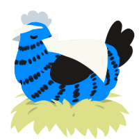 A sapphire and sable chicken with a bar pattern