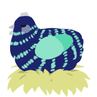A navy and mint chicken with a bar pattern