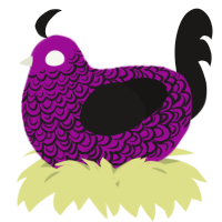 A plum and sable chicken with a double-lace pattern