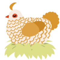 A cream and orange chicken with a lace pattern