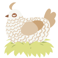A white and beige chicken with a lace pattern
