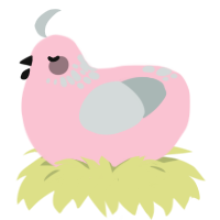Feather Duster, a rose and silver chicken with a neck-speckle pattern