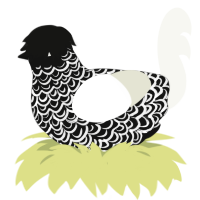 40 Below, a black and white chicken with a double-lace pattern