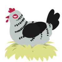 A silver and sable chicken with a half-bar pattern