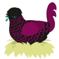 Rave Maeve, a sable and wine chicken with a lace pattern