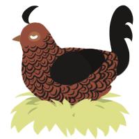 A russet and sable chicken with a double-lace pattern
