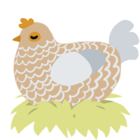 A beige and mist chicken with a lace pattern
