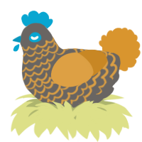 A grey and orange chicken with a lace pattern
