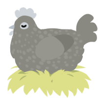 A ash chicken with a speckle pattern