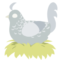 Husk, a silver and mist chicken with a half-lace pattern