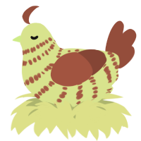 A lemon and russet chicken with a bar pattern