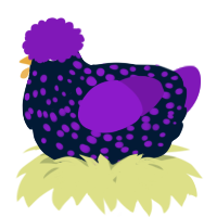 A tumblr and violet chicken with a speckle pattern
