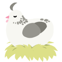 A white and ash chicken with a neck-speckle pattern