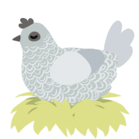 A silver and mist chicken with a double-lace pattern