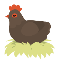 A bark chicken with a head pattern