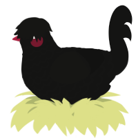 A black chicken with a lace pattern