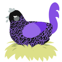 Blight, a black and blurple chicken with a double-lace pattern