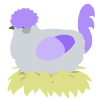 A mist and lilac chicken