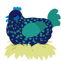 A navy and turquoise chicken with a speckle pattern