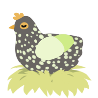 A grey and apple chicken with a speckle pattern