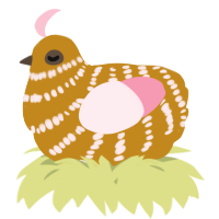A ochre and rose chicken with a bar pattern