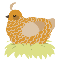 A orange and beige chicken with a lace pattern