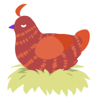 Pumkin, a red and vermilion chicken with a bar pattern