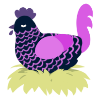 A tumblr and orchid chicken with a lace pattern