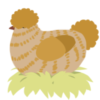 A beige and gold chicken with a bar pattern