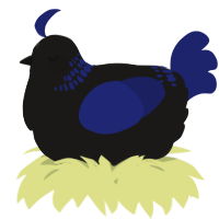 A sable and navy chicken with a neck-band pattern
