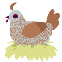 A silver and brown chicken with a double-lace pattern